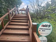 -大岭沟猕猴桃谷风景区