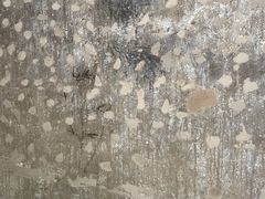 -敦煌石窟文物保护研究陈列中心