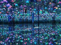 -深圳独角兽星空艺术馆