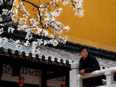 -灵谷景区