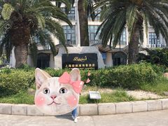 -上海棕榈滩海景酒店