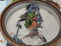 -全乐鱼馆·淳牌有机鱼直营店