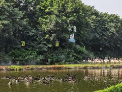 -广州长隆飞鸟乐园