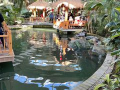 -南宫五洲植物乐园