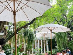 -Fern Forest Cafe