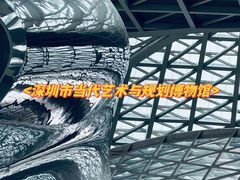 -深圳市当代艺术与城市规划馆