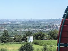 -紫云台香草园