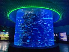 -多彩贵州城极地海洋世界