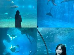 -福州罗源湾海洋世界旅游区