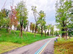 -白鹭湾湿地公园