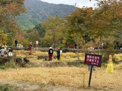 -塔川景区