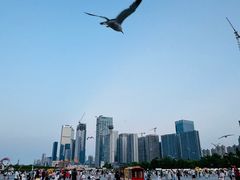 -东港音乐喷泉广场