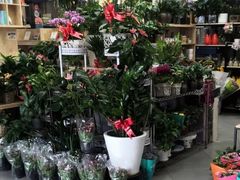 -超市发超市(学院路店)
