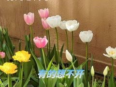 -瑞虹新天地月亮湾