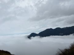 -江南天池