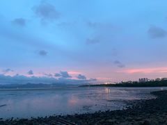 -深圳湾公园(南山区)