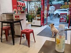 -大王油茶(二厂文创公园店)