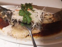 清蒸鲈鱼-尘香•传统川菜(创汇首座店)