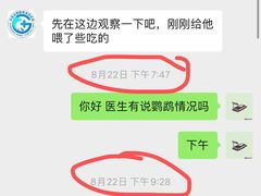 -瑞派·关忠动物医院·异宠专科·犬猫肿瘤·皮肤专科(望京店)