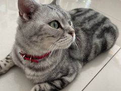 -平行世界·猫咖(首经贸店)