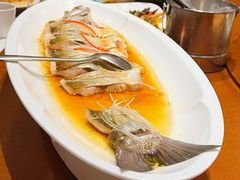 -潇湘甲鱼村(清河店)