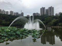 -龙头寺公园