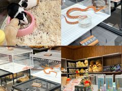 -天河城购物中心