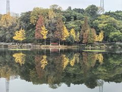-重庆彩云湖湿地公园