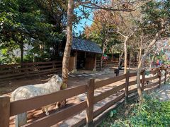 -广州锦绣香江度假别墅