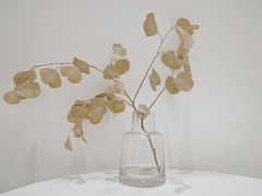 -花沐 FLOWER BATH(凤凰城店)