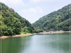 -桃花岭景区