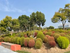 -春花秋色城市公园