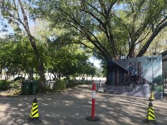 -枫花园汽车电影院(朝阳公园店)