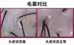 -张昊造型