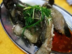 -蚝专家(北滘店)