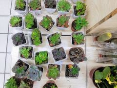 -物美超市(下沙店)