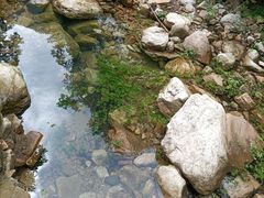 -湖洞水自然风景区