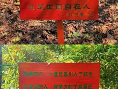 -寂照庵