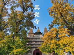 -北京石刻艺术博物馆