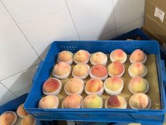 -老袁家蜜桃农场·阳山水蜜桃