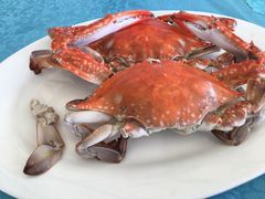 -御唐府海珊瑚主题餐厅