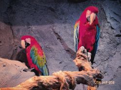 -Zoolung Zoolung动物主题公园(海信广场店)