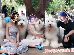 -TrueLove @ Neverland (Husky Cafe)