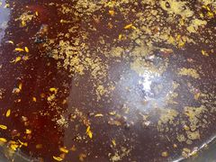 -水碾河肥兔火锅(水碾河店)