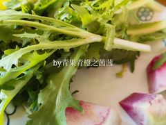 -老村长农家院