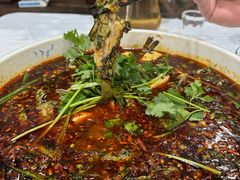 红汤水煮黄辣丁-陈胖子鱼庄(黄辣丁新津店)