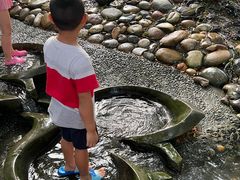 -成都市活水公园