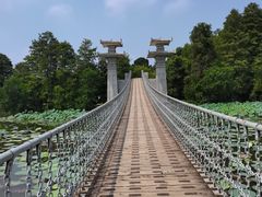 -东湖落雁景区