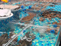 -映像威海·海鲜味道(市区店)
