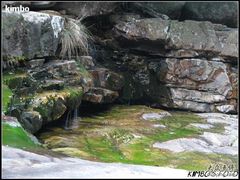 -祁门牯牛降观音堂风景区